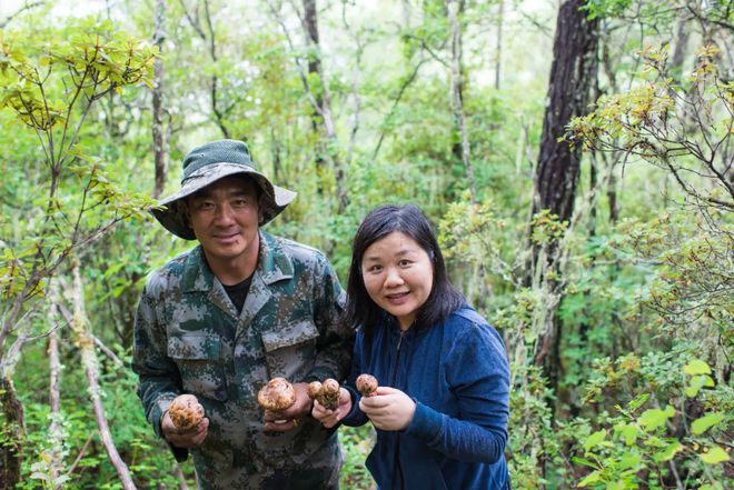 ！云南野生菌征服法国人的挑剔味蕾冰球突破豪华版大地物源出海法国(图18)