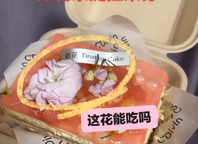人账号注销知情人曝黑料被网友指是惯犯冰球突破正规网站提拉米苏中毒后续：本(图11)