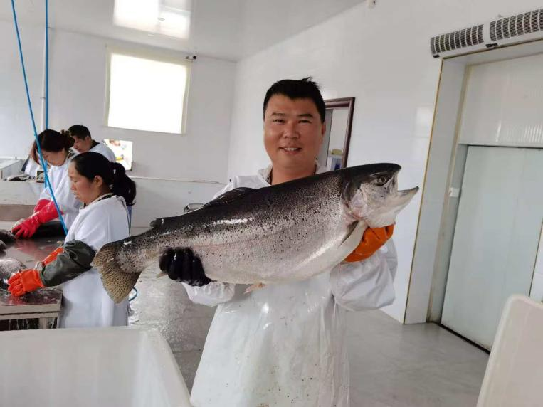 饭菜单焕新太行山三文鱼游上春节餐桌……冰